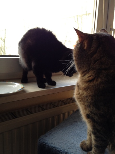 Angel und Abby